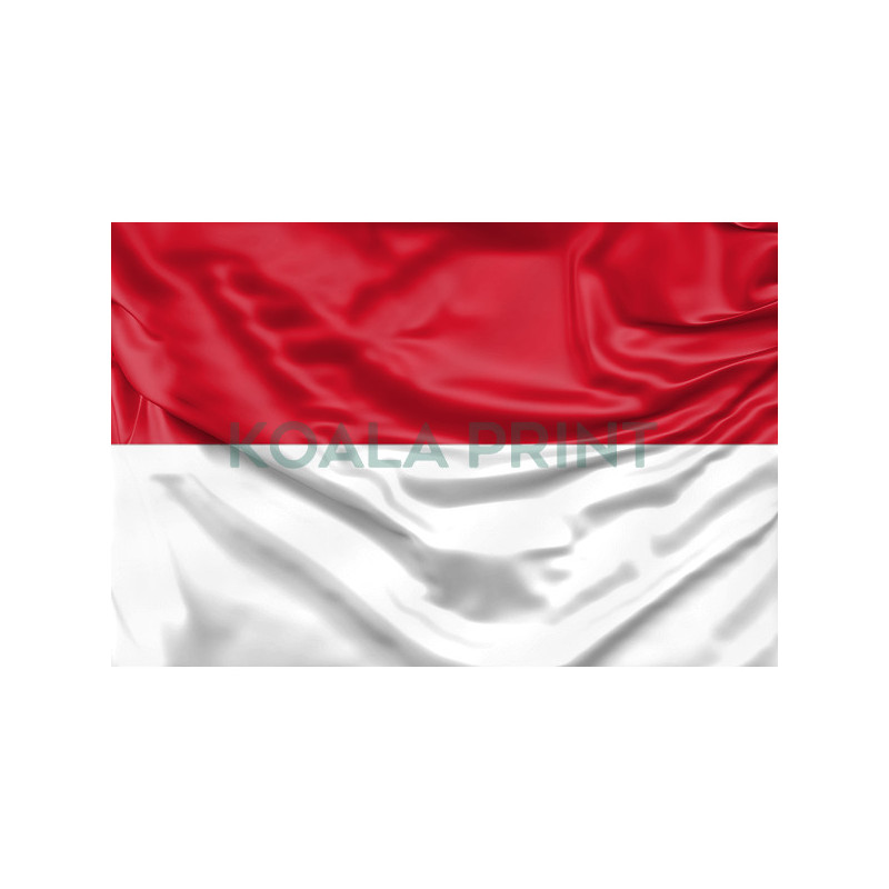 Indonezijos vėliava