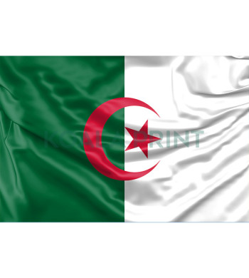 Alžyro vėliava