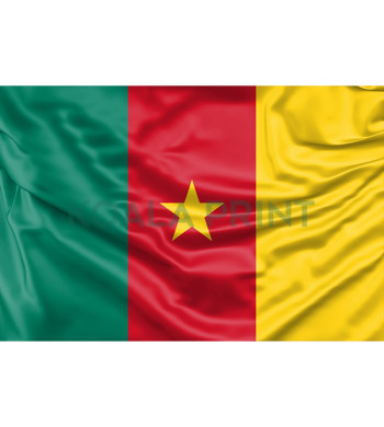 Kamerūno vėliava