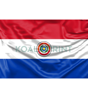 Paragvajaus vėliava