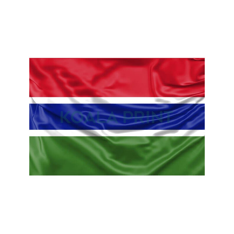 Gamibijos vėliava