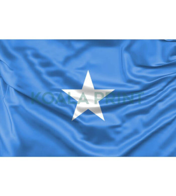 Somalio vėliava