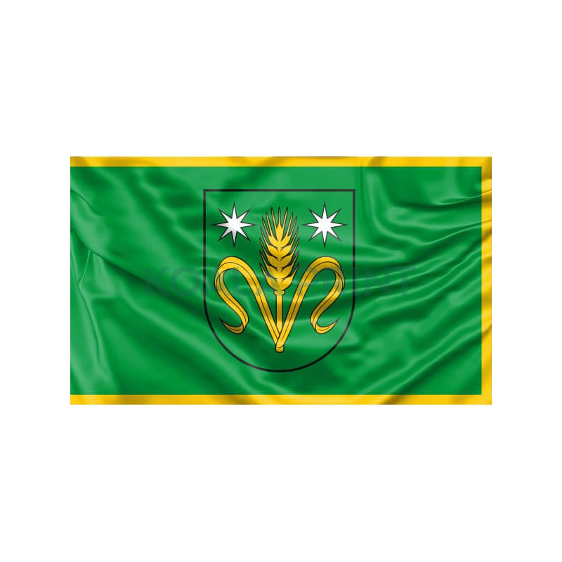 Akademijos vėliava