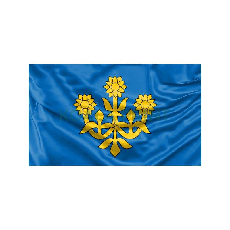 Radailių vėliava