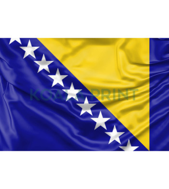 Bosnijos ir Hercegovinos vėliava