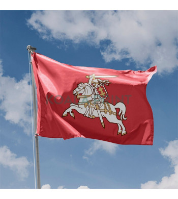 Senojo Vyčio vėliava II