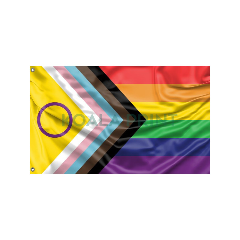 Progresyvioji LGBT vėliava II