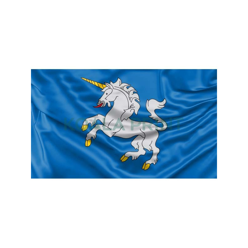 Merkinės vėliava