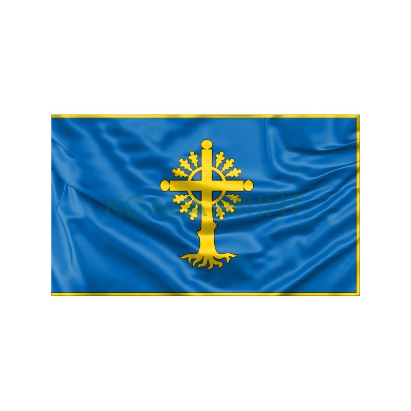 Lyduokių vėliava