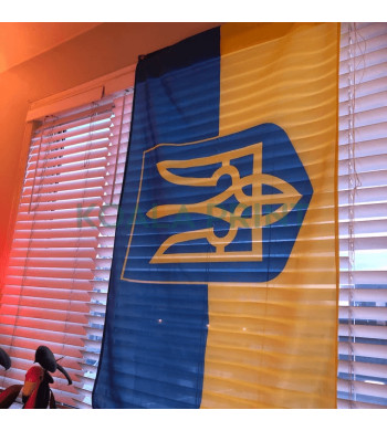 Ukrainos vėliava su herbu