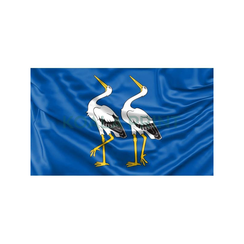 Naisių vėliava